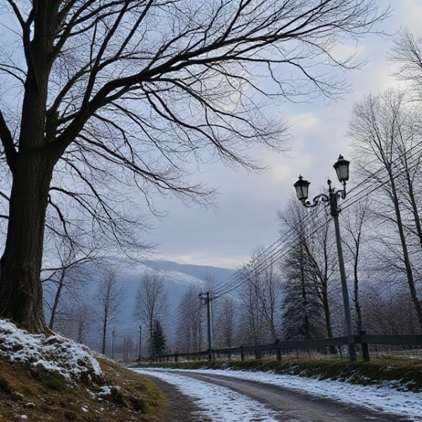 ��� ����: ������ � ������ ���������� �����������?