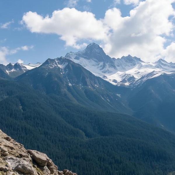 ��� ����: ������ � ������ ���������� �����������?